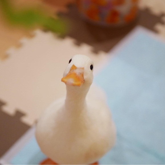 Meet your posher Aurora - Picture 12 of 12